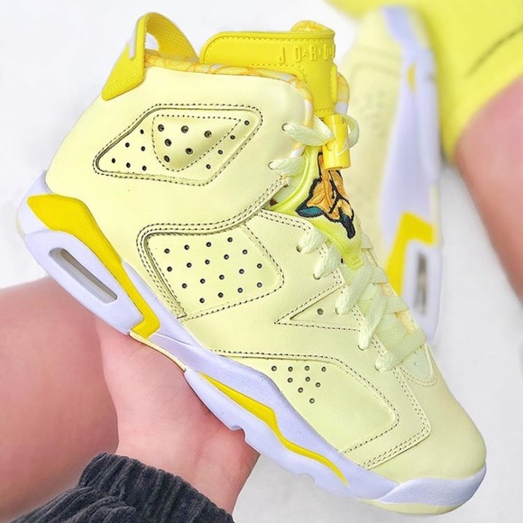 Nike Shoes - Nike 🌹 air jordan 6 retro sneakers